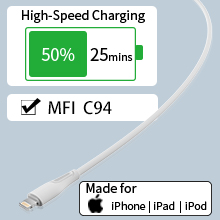 fast charging